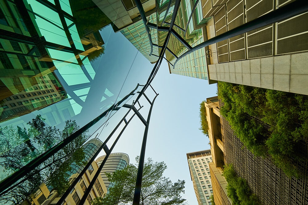 Hercule Conseil hercule-conseil-offre-conseil-esg-green-finance  